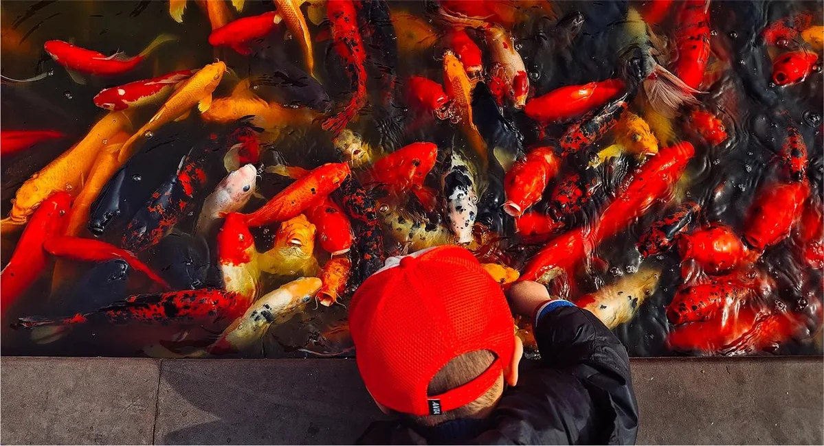 Смартфон Xiaomi 13 Ultra 16/1TB White — фото 2