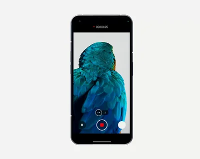 Смартфон Nothing Phone (1) 8/256GB Black - купить по лучшей цене в