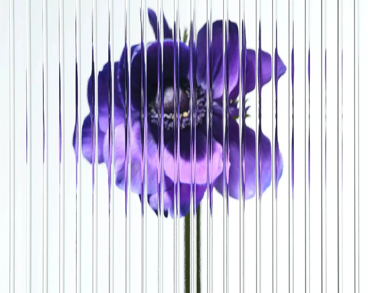 Смартфон Nothing Phone (1) 8/256GB Black — фото 10