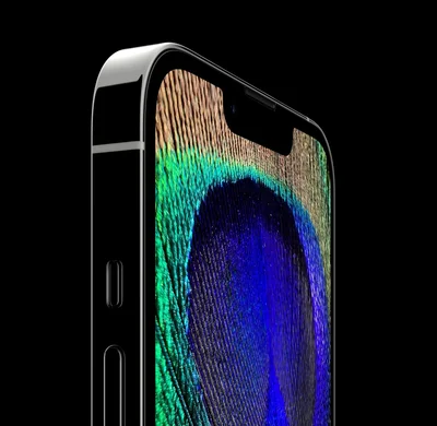 Смартфон Apple iPhone 13 Pro Max 256GB Graphite (MLLA3) - купить