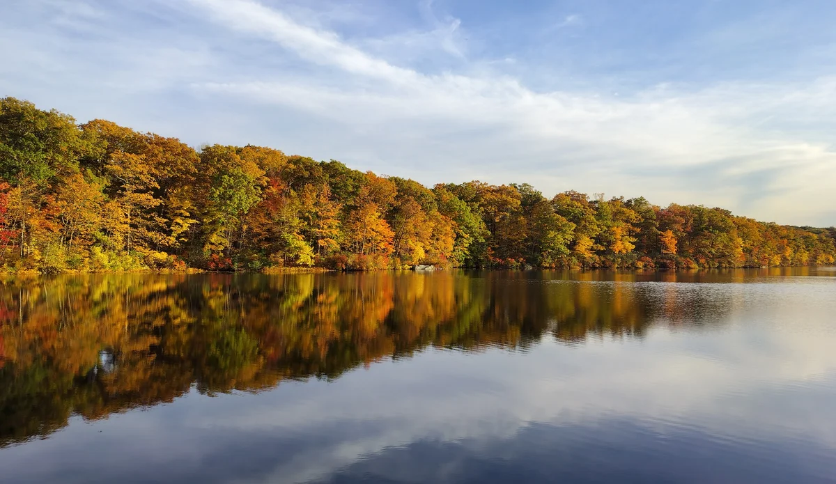 Смартфон Oppo A1 Pro 12/256GB Blue — фото 3