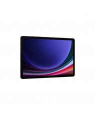 Планшет Samsung Galaxy Tab S9 5G 12/256GB Graphite (SM-X716BZAESEK)