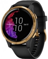 Смарт-часы Garmin Venu Black/Gold (010-02173-33/31/39/32)