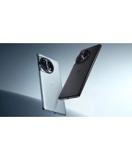 Смартфон OnePlus Ace 2 12/256GB Black (CN)