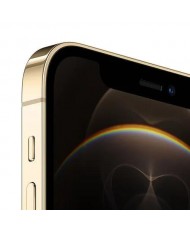 Смартфон Apple iPhone 12 Pro Max 256GB Gold (MGDE3)