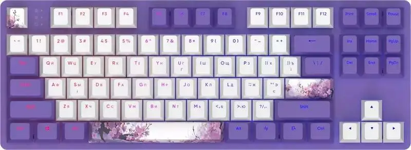Клавіатура Dark Project One Violet Horizons (DPO87_GSH_DPUP_ANSI_UA)