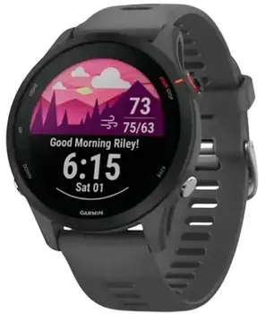 Смарт-годинник Garmin Forerunner 255 Slate Gray (010-02641-00/10/43)