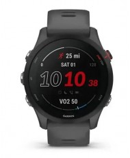 Смарт-годинник Garmin Forerunner 255 Slate Gray (010-02641-00/10/43)