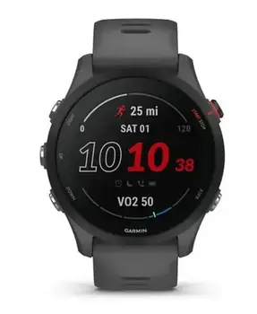 Смарт-годинник Garmin Forerunner 255 Slate Gray (010-02641-00/10/43)