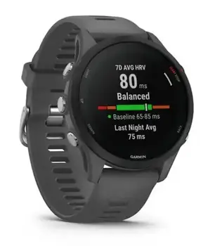 Смарт-годинник Garmin Forerunner 255 Slate Gray (010-02641-00/10/43)