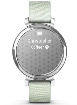 Смарт-годинник Garmin Lily 2 Silver with Sage Gray Nylon Band (010-02839-63) (UA)