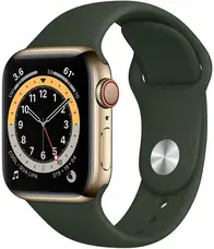 Смарт-годинник Apple Watch Series 6 GPS + Cellular 40mm Gold Stainless Steel Case w. Cyprus Green Sport B. (M02W3)