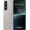 Смартфон Sony Xperia 1 V 12/512GB Platinum Silver (Global Version)