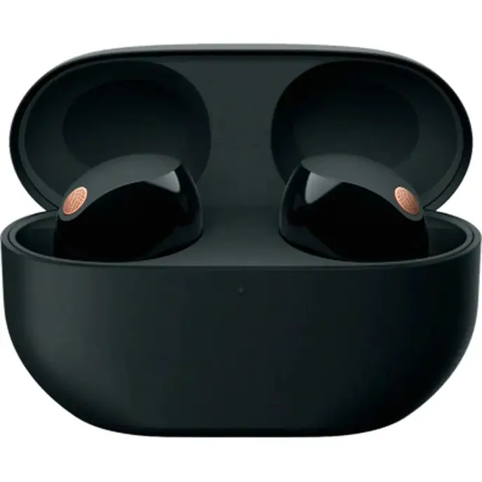 Наушники TWS Sony WF-1000XM5 Black (WF1000XM5B.CE7) - купить по