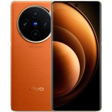 Смартфон Vivo X100 16/512GB Orange (CN)