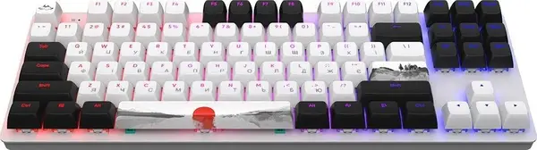 Клавіатура Dark Project One 87 Fuji RGB ANSI White (DPO87_GSH_Fuji_ANSI_EN) (UA)