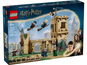 Конструктор LEGO Harry Potter Hogwarts Castle Flying Lessons (76447)