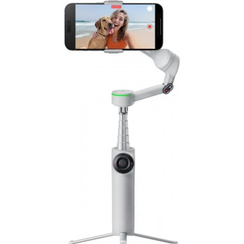 Монопод-стабилизатор Insta360 Flow 2 Pro Gray (CINSABQB-G)