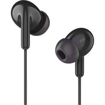 Наушники с микрофоном Xiaomi Type-C Earphones Black (BHR8930GL)