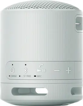 Портативная колонка Sony SRS-XB100 Grey (SRSXB100H.CE7)