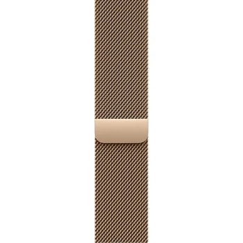 Смарт-часы Apple Watch Series 11 GPS + Cellular 46mm Gold Tit. Case w. Gold Milanese Loop - S/M (MFD74)