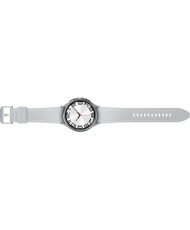 Смарт-годинник Samsung Galaxy Watch6 Classic 47mm Silver (SM-R960NZSASEK)