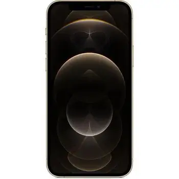 Смартфон Apple iPhone 12 Pro 128GB Gold (MGMM3/MGLQ3)