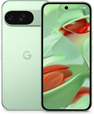 Смартфон Google Pixel 9 12/256GB Wintergreen (Global Version)