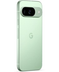 Смартфон Google Pixel 9 12/256GB Wintergreen (Global Version)