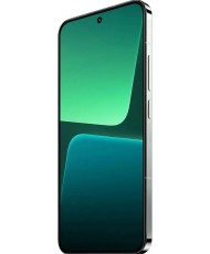 Смартфон Xiaomi 13 Pro 12/256GB Flora Green