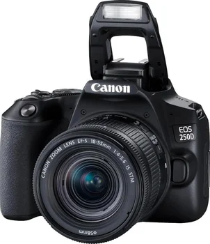 Фотоаппарат Canon EOS 250D kit (18-55mm) EF-S IS STM (3454C007)
