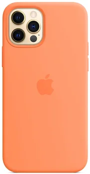 Чехол Silicone Case [Plastic Box] для iPhone 16 Pro Max Papaw