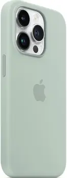 Чехол Silicone Case with MagSafe and Animation [Colorless] для iPhone 14 Pro Succulent